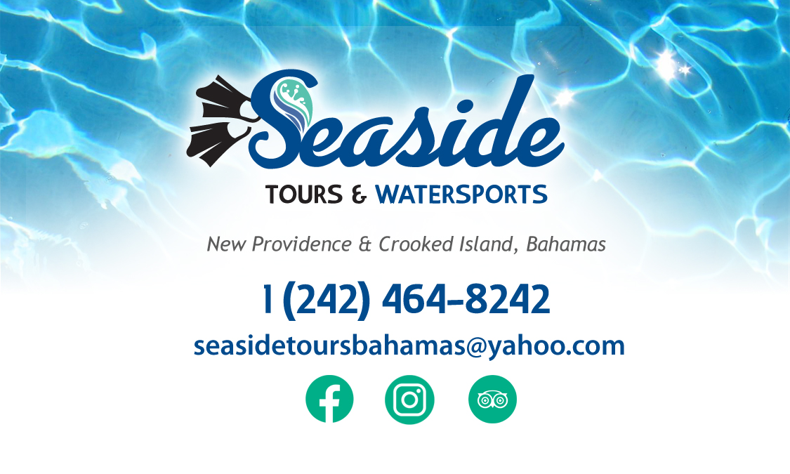 SeasideTours 